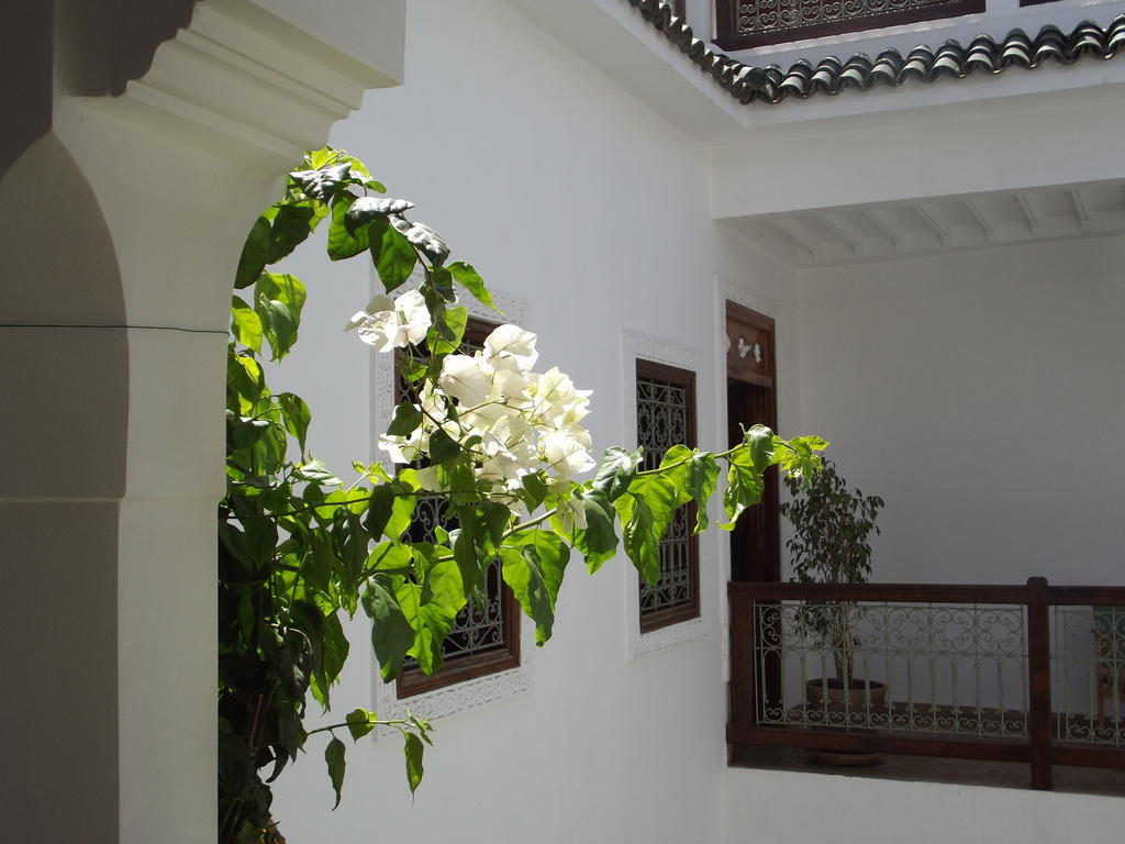 Riad Les Bougainvilliers Marakeş Dış mekan fotoğraf